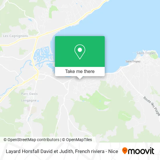 Layard Horsfall David et Judith map