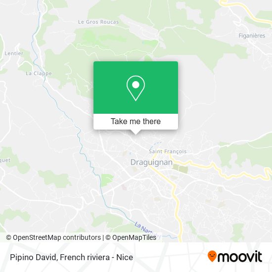 Pipino David map