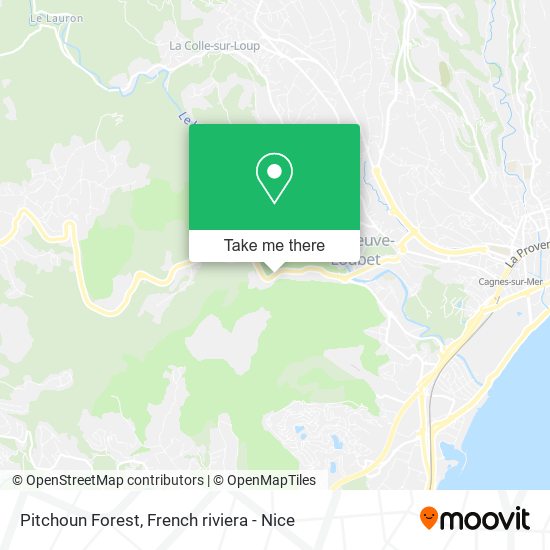 Pitchoun Forest map