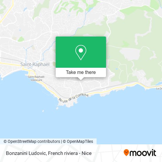 Bonzanini Ludovic map
