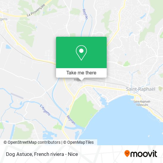 Mapa Dog Astuce