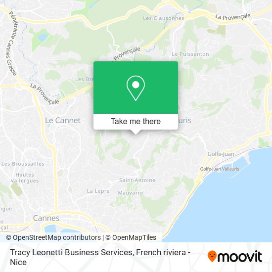 Tracy Leonetti Business Services map