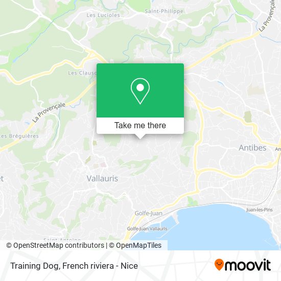 Training Dog map