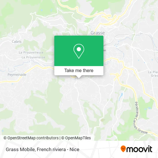 Grass Mobile map