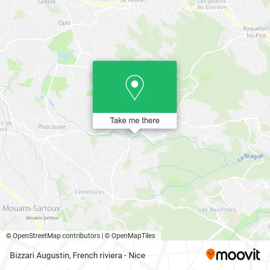 Bizzari Augustin map