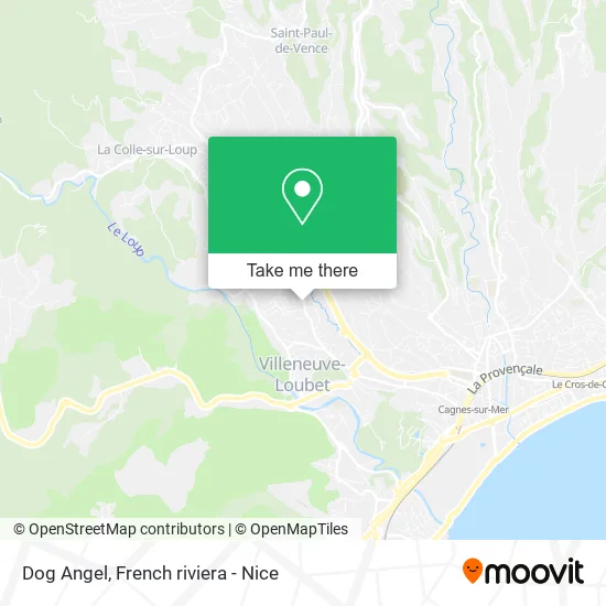 Dog Angel map