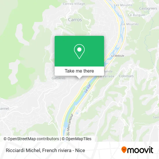 Ricciardi Michel map