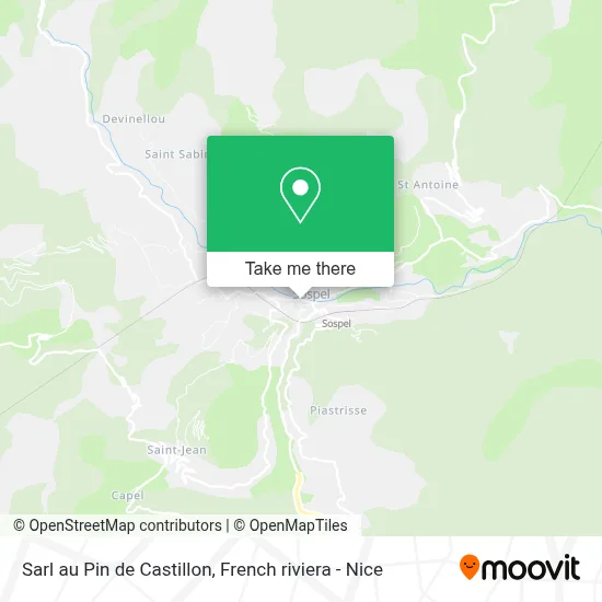 Sarl au Pin de Castillon map