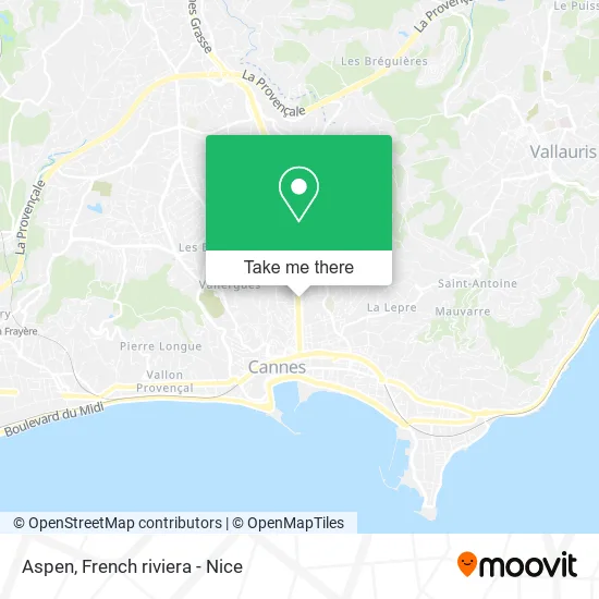 Aspen map