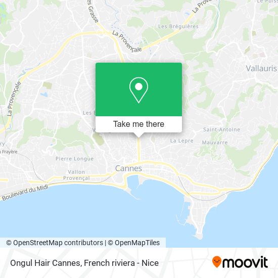 Ongul Hair Cannes map