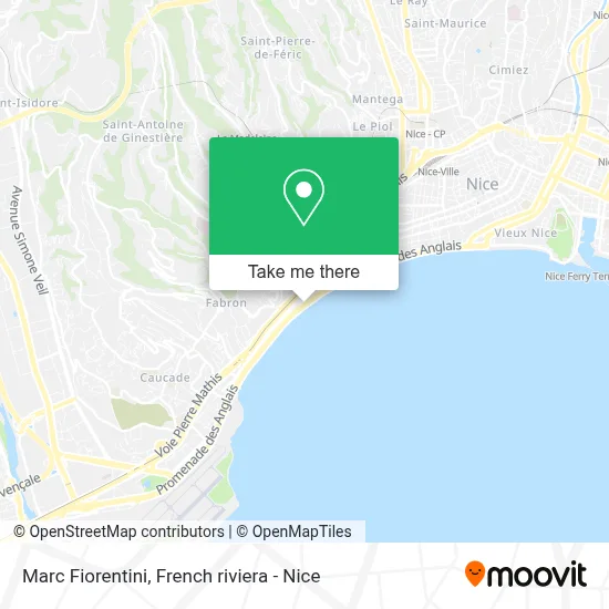 Marc Fiorentini map
