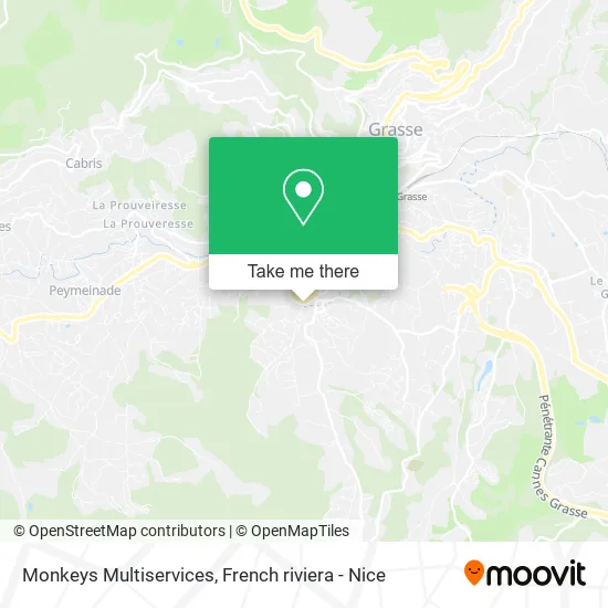 Monkeys Multiservices map