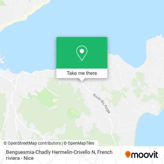 Benguesmia-Chadly Hermelin-Crivello N map