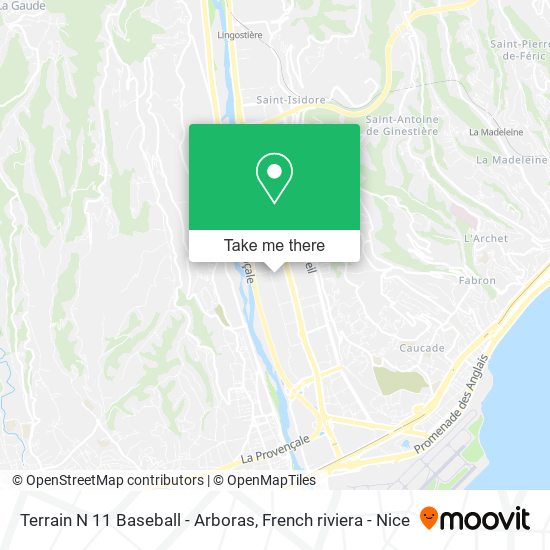 Terrain N 11 Baseball - Arboras map