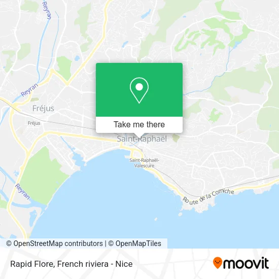 Rapid Flore map