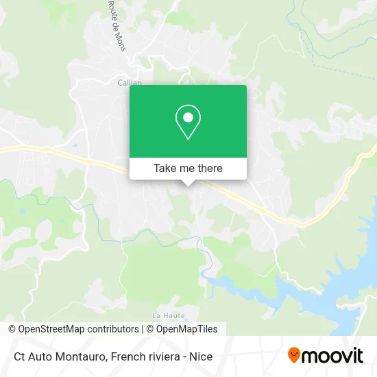 Ct Auto Montauro map