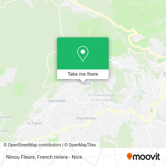 Ninou Fleurs map