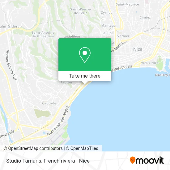 Studio Tamaris map