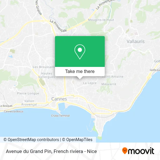 Avenue du Grand Pin map