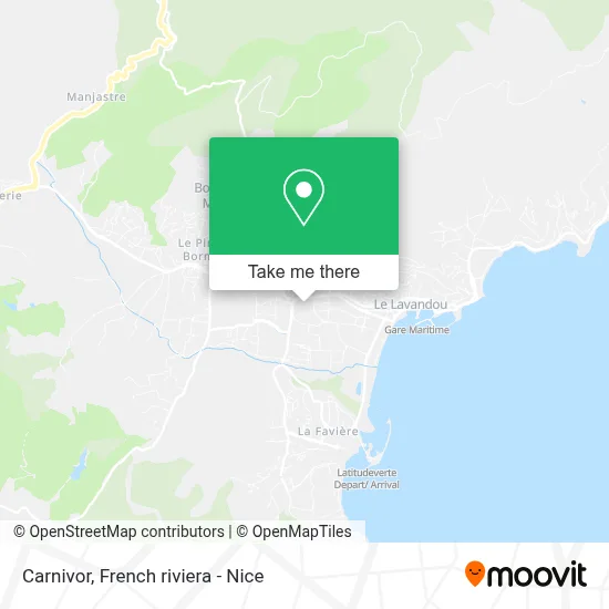 Carnivor map