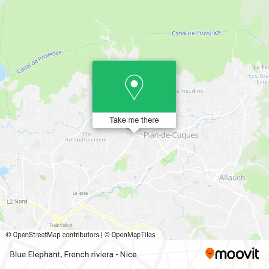 Elephant Bleu map