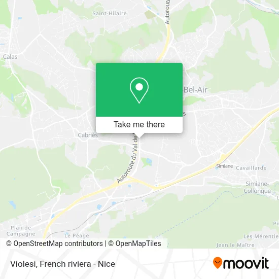 Violesi map
