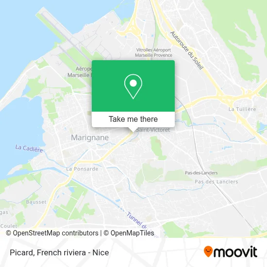 Picard map