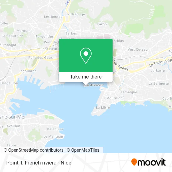 Point T map