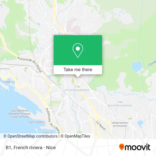 B1 map