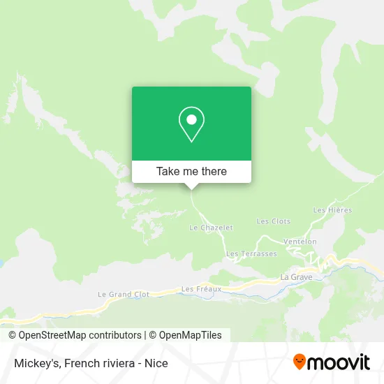 Mickeys map
