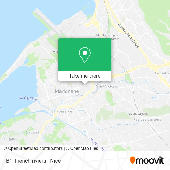 B1 map