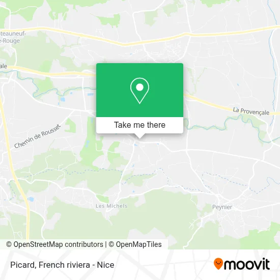 Picard map