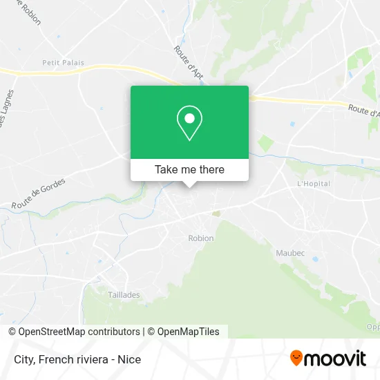 City map