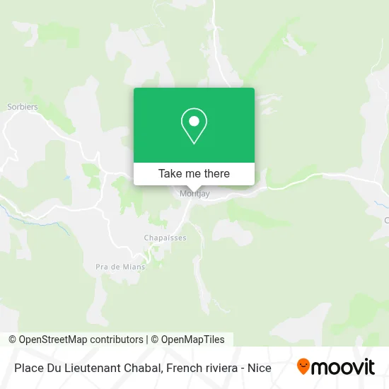 Place Du Lieutenant Chabal map