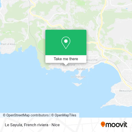 Le Sayula map
