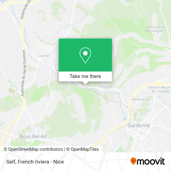 Self map