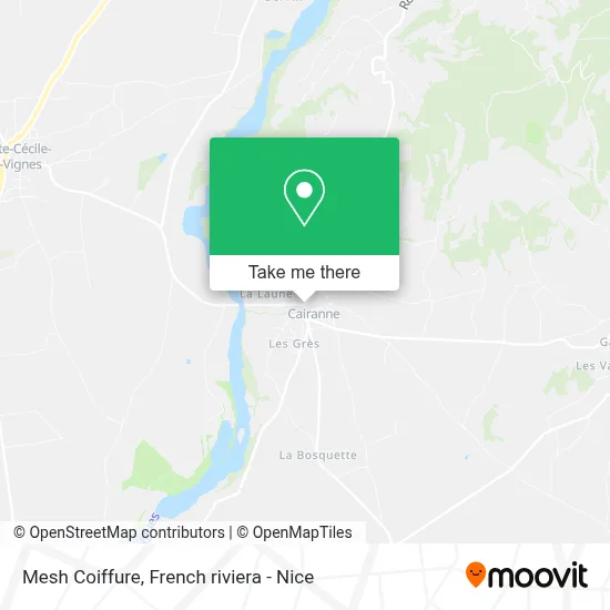 Mesh Coiffure map