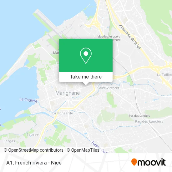 A1 map