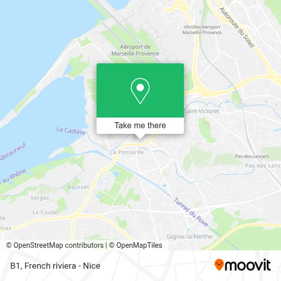 B1 map