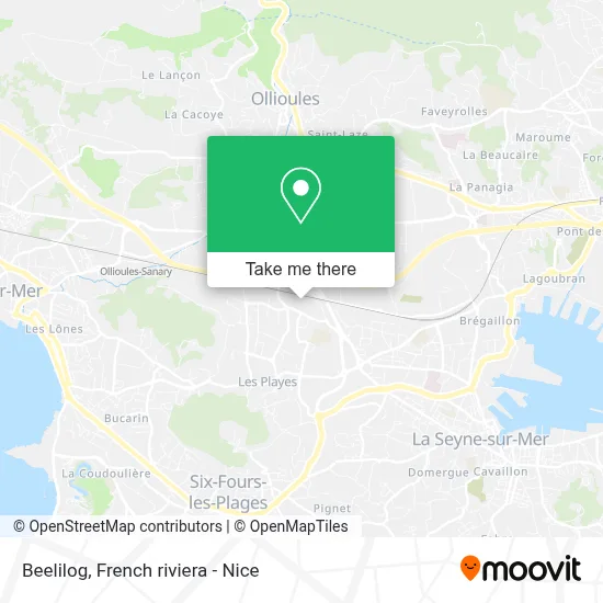 Beelilog map