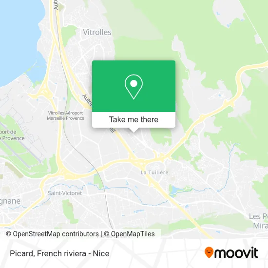 Picard map