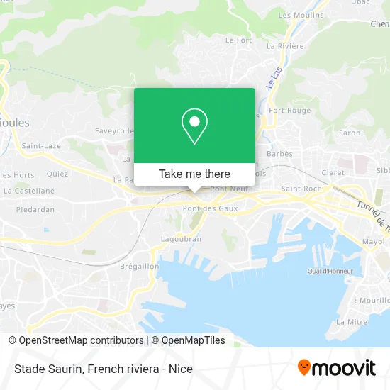 Stade Saurin map