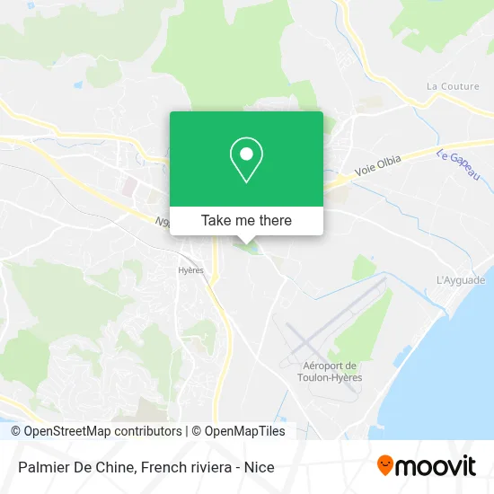 Palmier De Chine map
