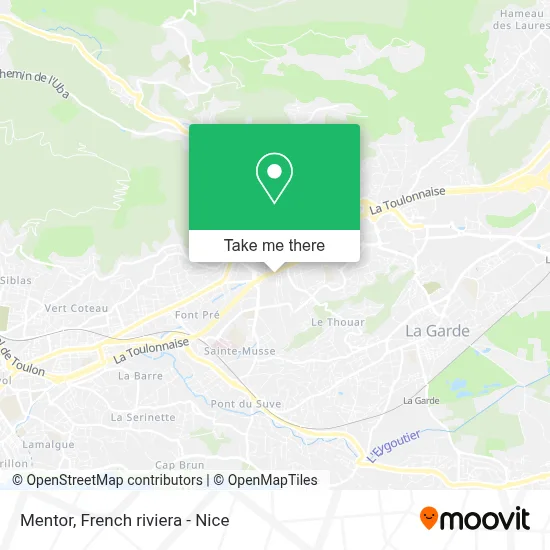 Mentor map
