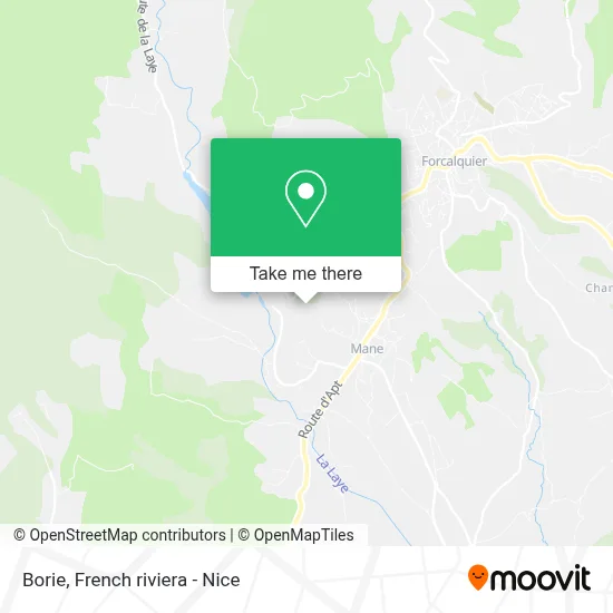Borie map