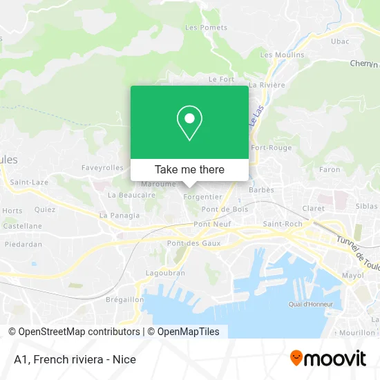 A1 map