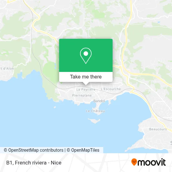 B1 map