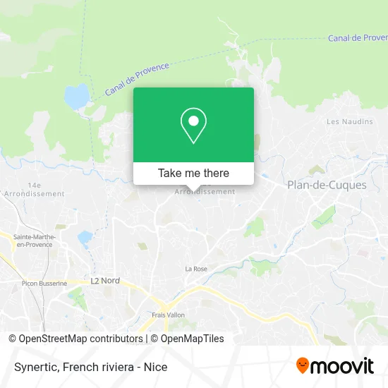 Synertic map