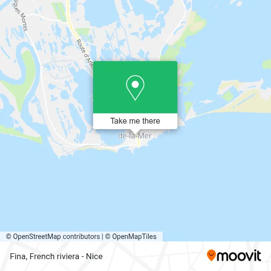 Fina map