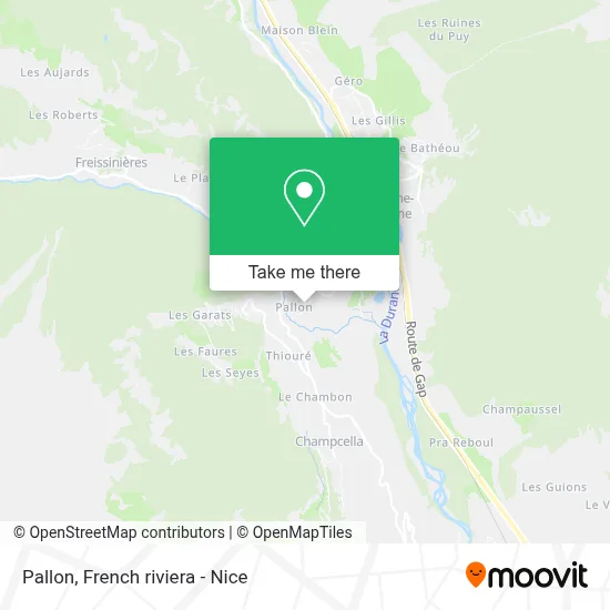 Pallon map